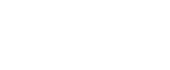 brz25ims-logo-branco