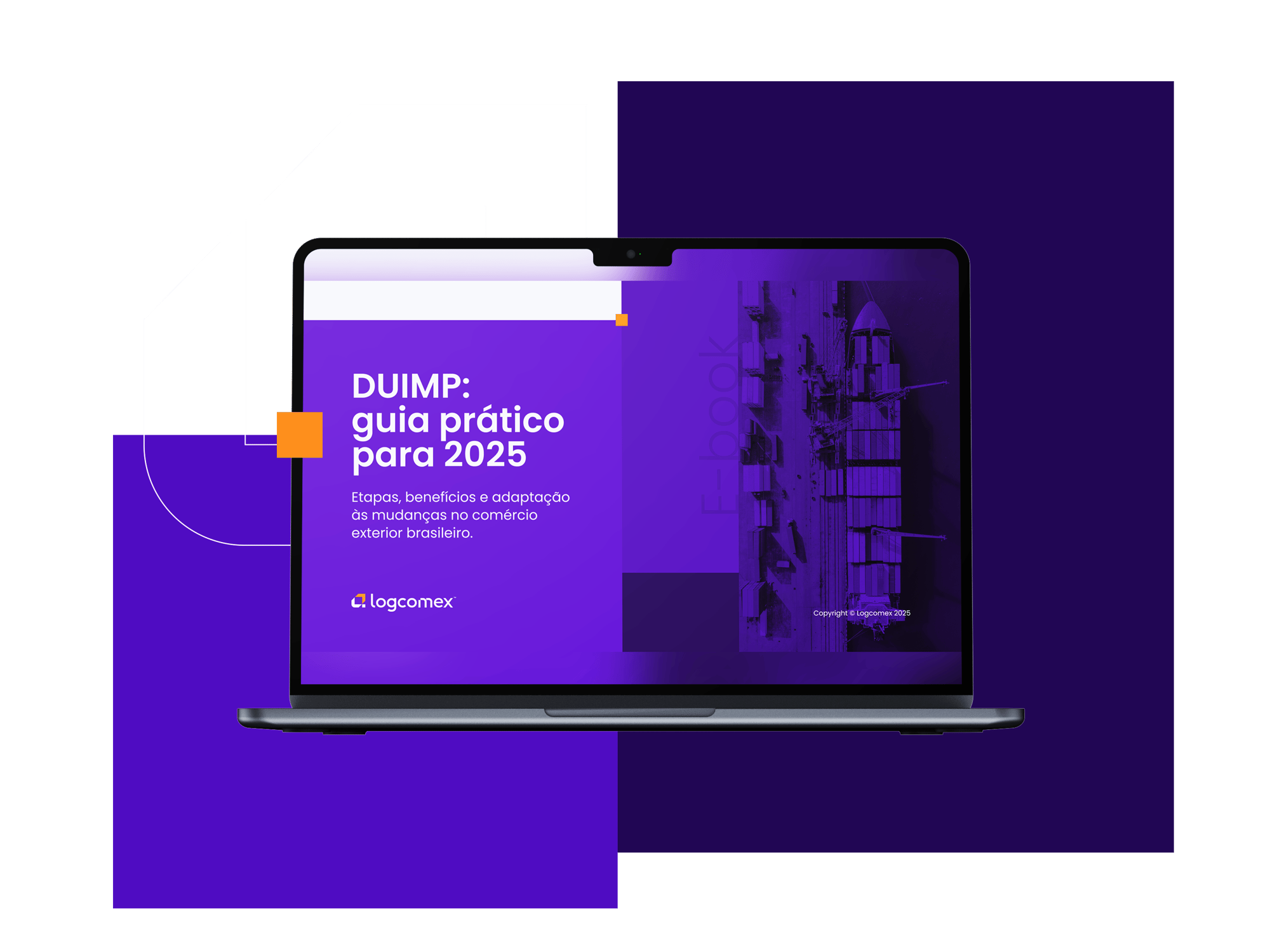 imagem-LP-DUIMP-2025-02-1