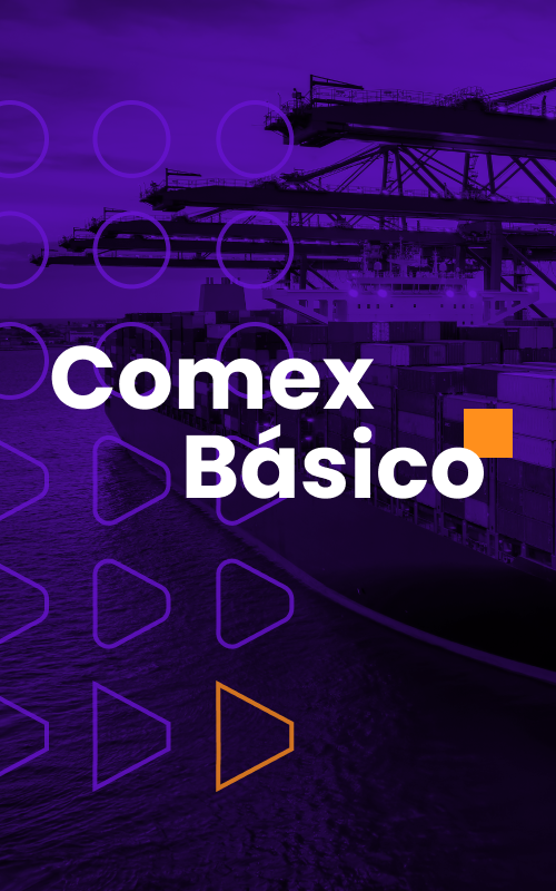 LogAcademy_Banner_Comex_Basico_500x800